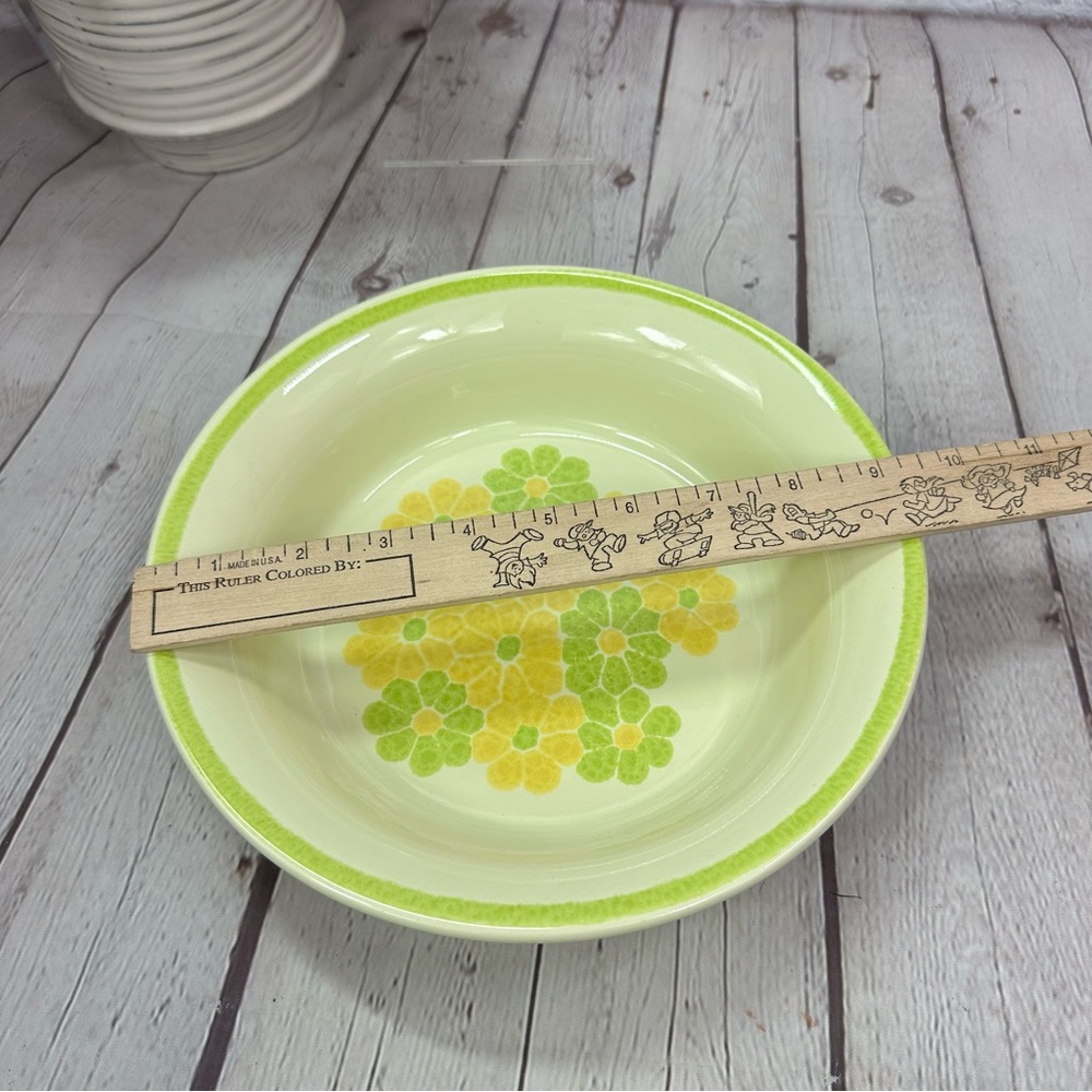 vtg picnic by Franciscan Earthenware 9" round vegetable bowl retro floral EUC - Picture 2 of 6